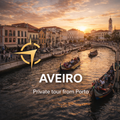 Visit Portuguese Venice - Aveiro all day trip